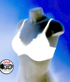 Reggiseno Triangolo Imbottito Pizzo Senza Ferro Diva By Prive' -INTIMO OUTLET Saldi photo 2019 05 20 14 20 33